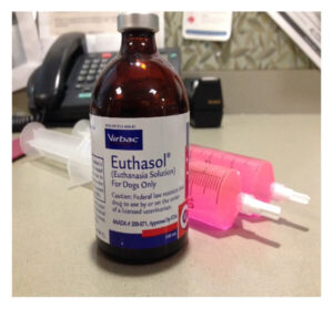 Buy Nembutal Pentobarbital Sodium Injectable Vial